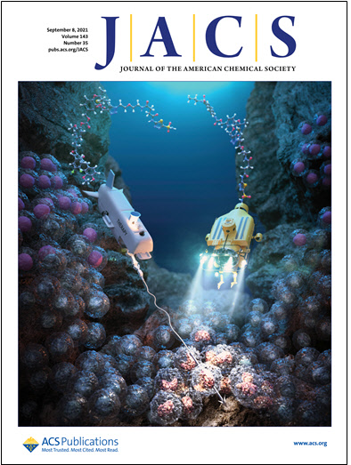 김종승 고려대 교수 연구팀은 저산소성 암줄기세포에 의한 암 재발과 전이를 막을 수 있는 '저분자 기반의 약물전달시스템 플랫폼' 기술을 개발했다. 사진은 연구결과를 표지논문으로 실은 '미국화학회지'(JACS)  고려대 제공